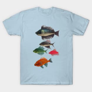 Fishes T-Shirt